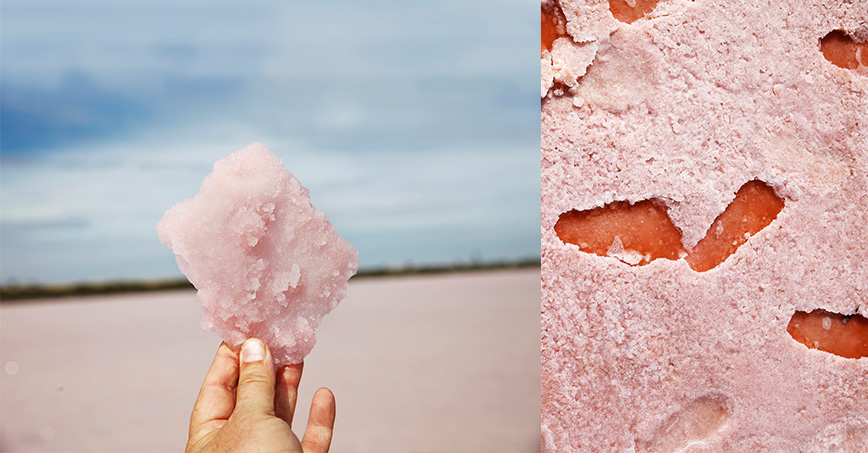粉紅鹽,澳洲粉紅湖,岩鹽,進口調味料,Mount Zero,礦物質鹽